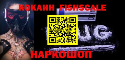 крисы Шелехов