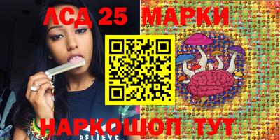 крисы Шелехов