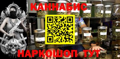 крисы Шелехов